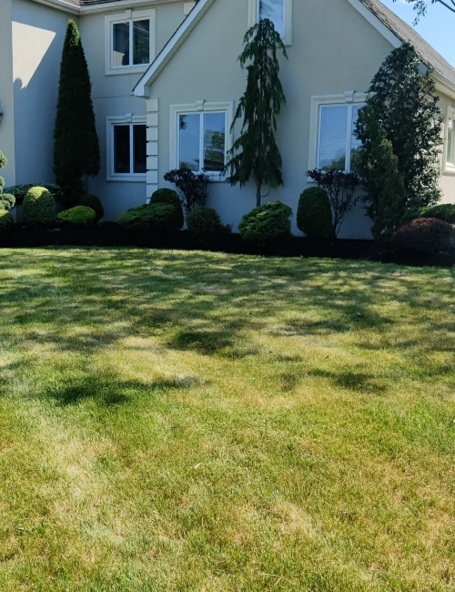 Lawn Care Services